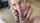 blowjob phone teen