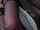 cumshot stocking huge load