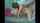 amateur cam hot