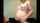 pregnant big tits blowjob