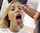 pov blowjob blonde