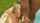 facial double penetration anal