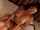 milf creampie blowjob
