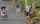 street public double penetration