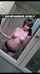 amature pornstar camgirl