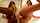 dildo mirror dark hair