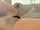 camgirl amateur blonde