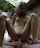 petite teen smalltitts