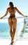 pornstar ass perfect