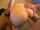 pov anal threesome