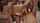 wife cuckold threesome