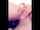 camgirl snapchat arab
