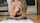 gag blonde hardcore