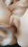 camgirl big boobs masturbate