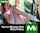 camgirl amateurs amateur