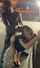 public black interracial