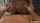ebony reality kings interracial