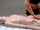 massage young girl lesbian
