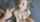 cumshot facial blonde