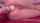 camgirl amateur anus