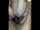 teen cuckold threesome