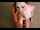 pov blow job brunette