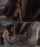 japanese dark hair jav