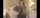 casting blonde adult
