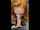 public blonde blowjob