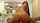 riding dildo camgirl