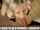 blowjob diggy style blonde