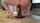 bbw big dildo chubby