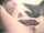 anal dildo skinny