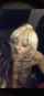 ebony blonde blowjob