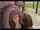 pornhub video black