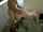 thai amateur cuckold