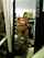 asian tattoo sextape