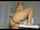 camgirl blonde big ass