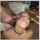 brunette facial interracial