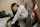 japanese asian school girl