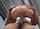 riley reid stand and carry bbc