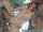 jav bbc creampie