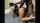 xxx ass sex