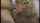 blonde blowjob oral creampie