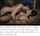 brunette sex missionary