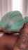 thot green hair tattoos