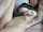 camgirl pussy teen