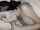 hot teen sleeping
