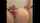 thick thicc squirt