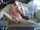 cam webcam amateur